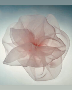Organza Rosette. Baby Pink. By Gudnitz Copenhagen