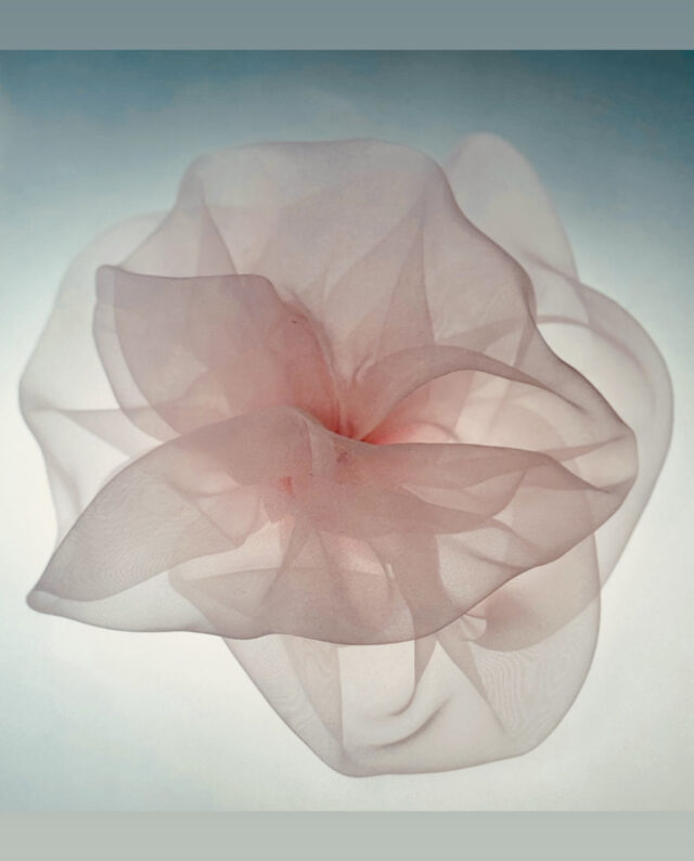 Organza Rosette. Baby Pink. By Gudnitz Copenhagen